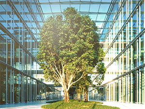Stadtwerke Düsseldorf