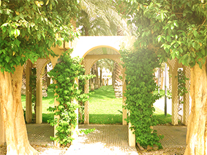 Riyadh Diplomatic Quarter