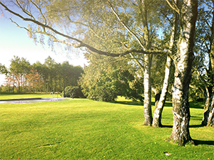 Privat Residence, Germany