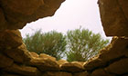 Thumb 9